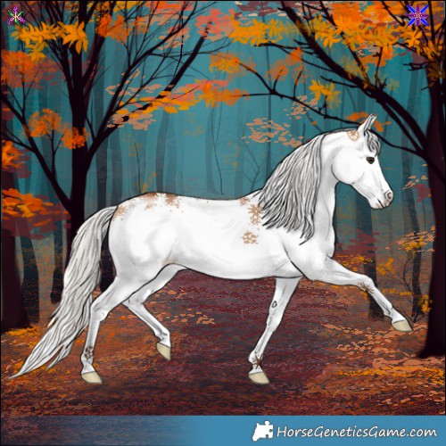 Horse Color:White Spotted Silver Bay Dun 