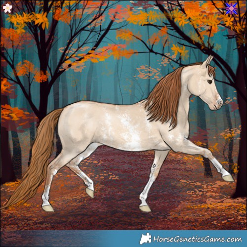 Horse Color:Red Dun Sabino 