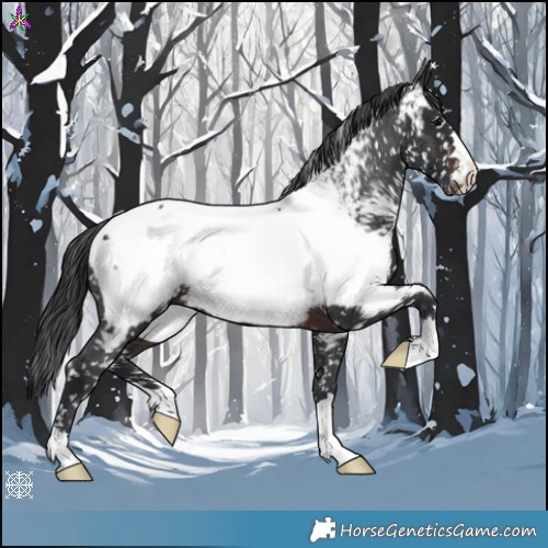 Horse Color:Brown Appaloosa