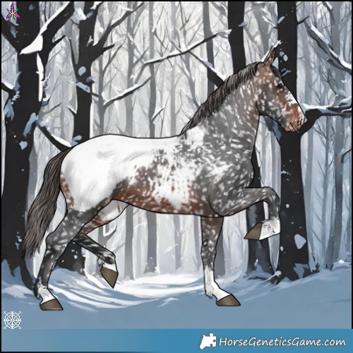 Horse Color:Brown Snowcap