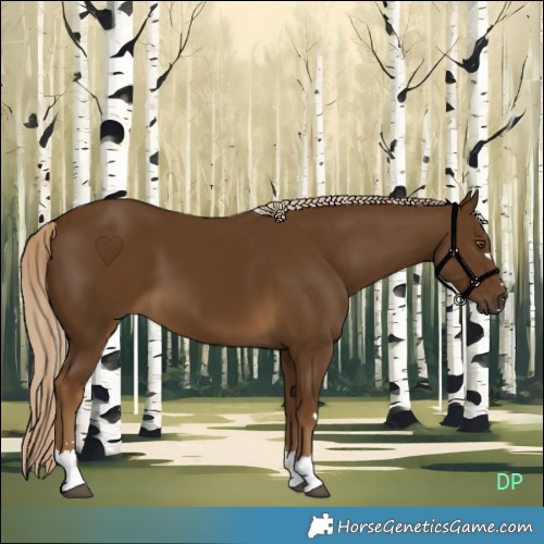 Horse Color:Chocolate Palomino 