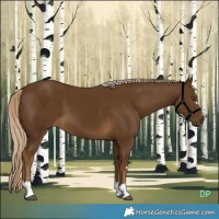 Horse Color:Chocolate Palomino
