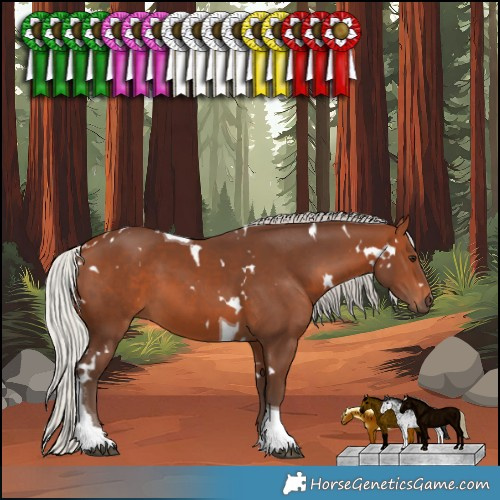 Horse Color:White Spotted Silver Brown Tobiano 