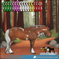 Horse Color:White Spotted Silver Brown Tobiano 