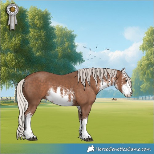 Horse Color:White Spotted Silver Black 