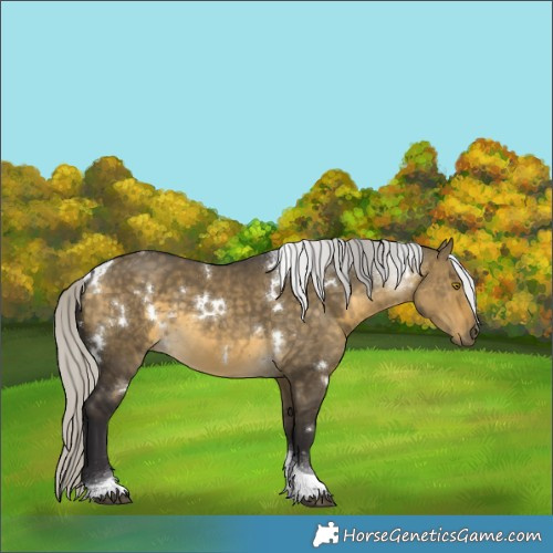Horse Color:White Spotted Silver Buckskin Dun Tobiano 