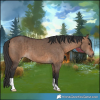 Horse Color:Bay Dun Brindle 