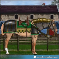 Horse Color:Red Dun 