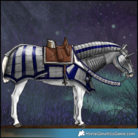 Horse Color:Palomino Dun Fewspot