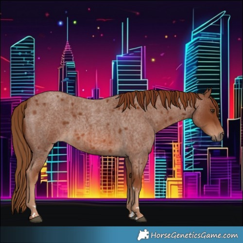 Horse Color:Red Roan 