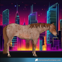 Horse Color:Red Roan 