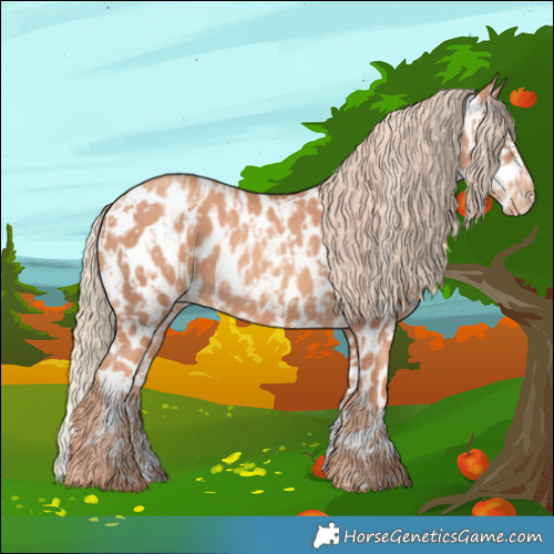 Horse Color:Gold Champagne Appaloosa  and Gold Champagne Appaloosa Rabicano 
