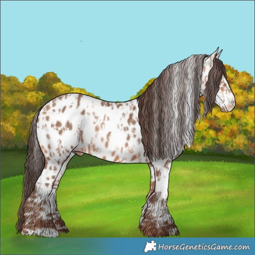 Horse Color:Amber Champagne Appaloosa  and Amber Champagne Appaloosa 