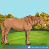 Horse Color:Chestnut Frame 
