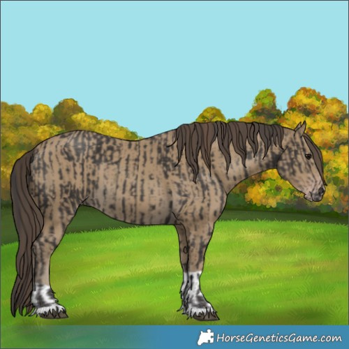 Horse Color:Smoky Black and Classic Cream Champagne
