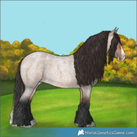 Horse Color:Brown Roan Dun Splash 