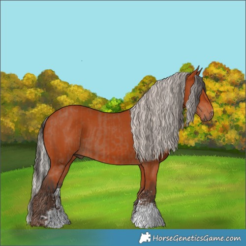 Horse Color:Bay Sabino Rabicano  and Silver Bay Sabino Rabicano 