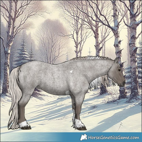 Horse Color:Silver Blue Roan Tobiano 