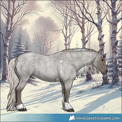 Horse Color:Silver Blue Roan Tobiano 
