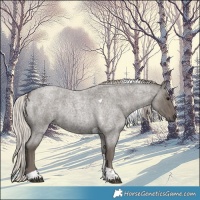 Horse Color:Silver Blue Roan Tobiano 