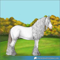 Horse Color:Chestnut Frame