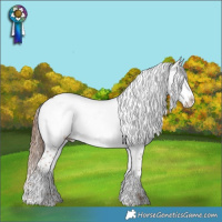 Horse Color:Chestnut Frame 