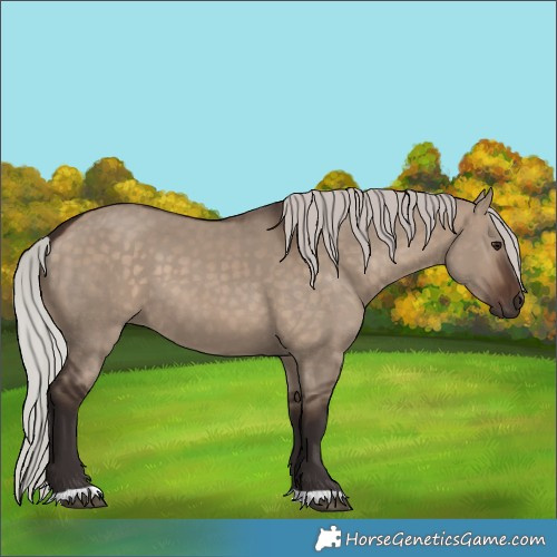 Horse Color:Silver Brown Dun 