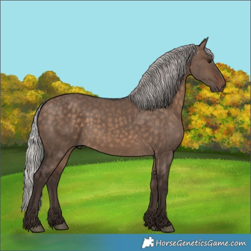 Horse Color:Silver Brown Dun 