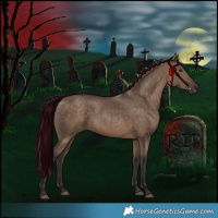 Horse Color:Silver Brown Dun 