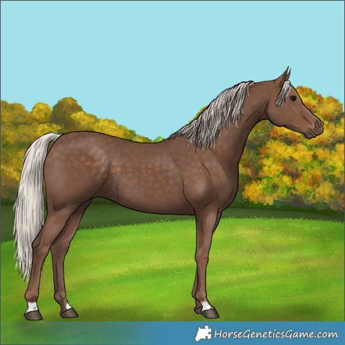 Horse Color:Silver Black 