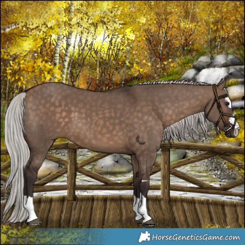 Horse Color:Silver Brown Dun 