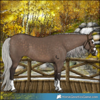 Horse Color:Silver Brown Dun