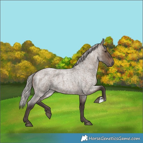Horse Color:Silver Brown Roan Dun 