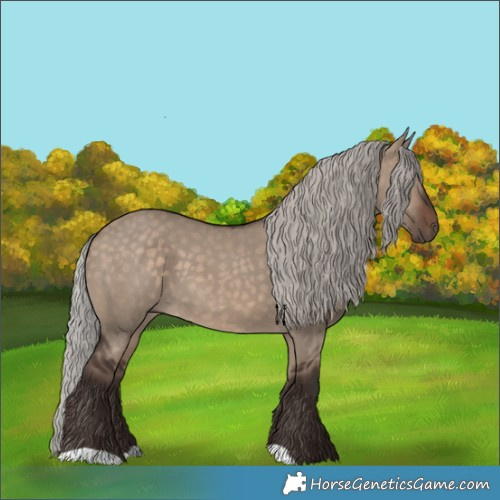 Horse Color:Silver Brown Dun