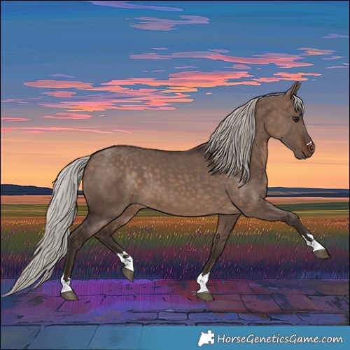 Horse Color:Silver Brown Dun 