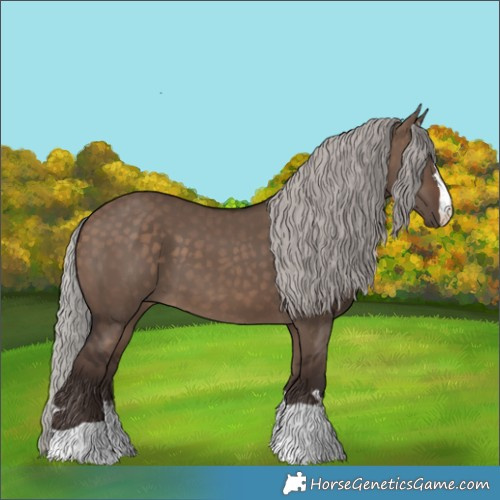 Horse Color:Silver Brown Dun 