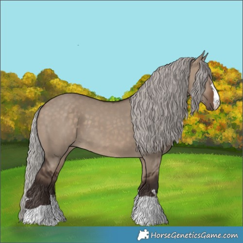 Horse Color:Silver Brown Dun