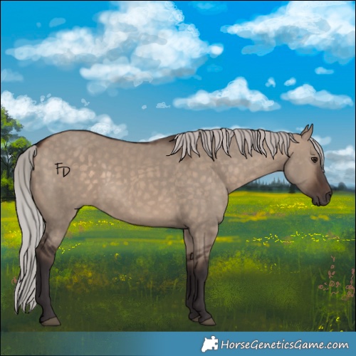 Horse Color:Silver Brown Dun 