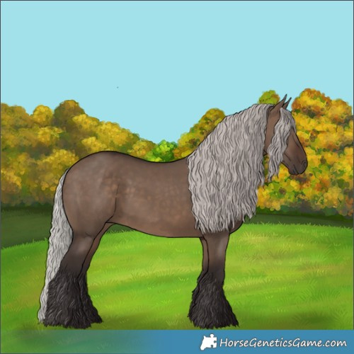 Horse Color:Silver Brown Dun 