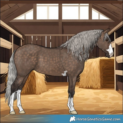 Horse Color:Silver Brown Dun 