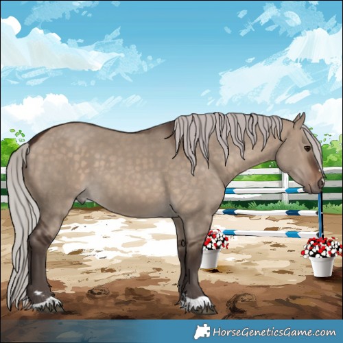 Horse Color:Silver Brown Dun 