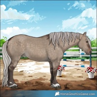 Horse Color:Silver Brown Dun 