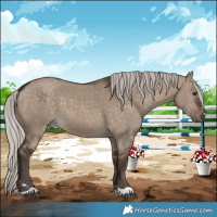 Horse Color:Silver Brown Dun 