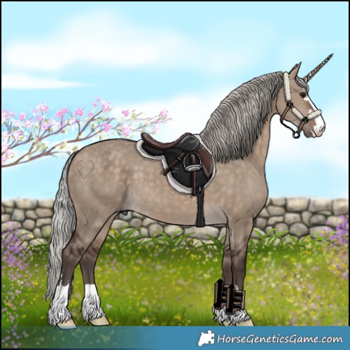 Horse Color:Silver Brown Dun