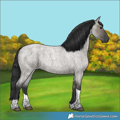 Horse Color:Grullo Roan Tobiano