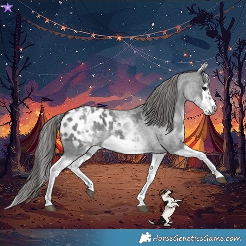 Horse Color:White Spotted Blue Roan Splash Frame Blanket 