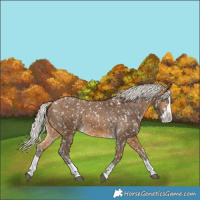 Horse Color:Silver Buckskin Splash Snowflake Varnish