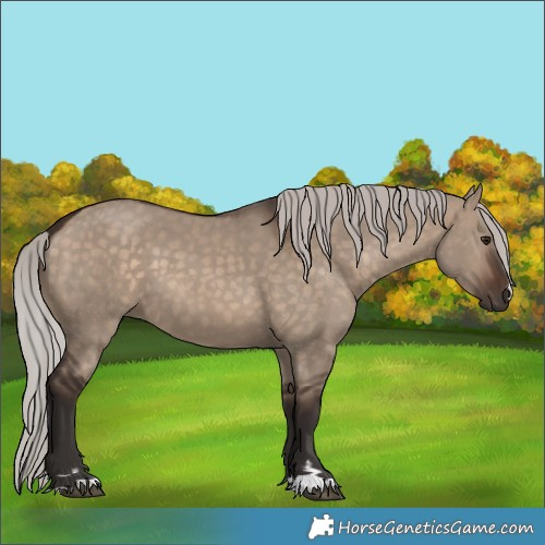 Horse Color:Silver Brown Dun 