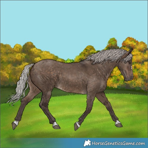 Horse Color:Silver Brown Dun 