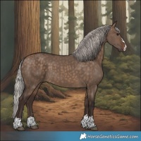 Horse Color:Silver Brown Dun